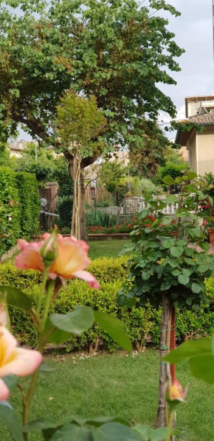 Villa La Casa Di Gigliola Monticiano Exterior foto