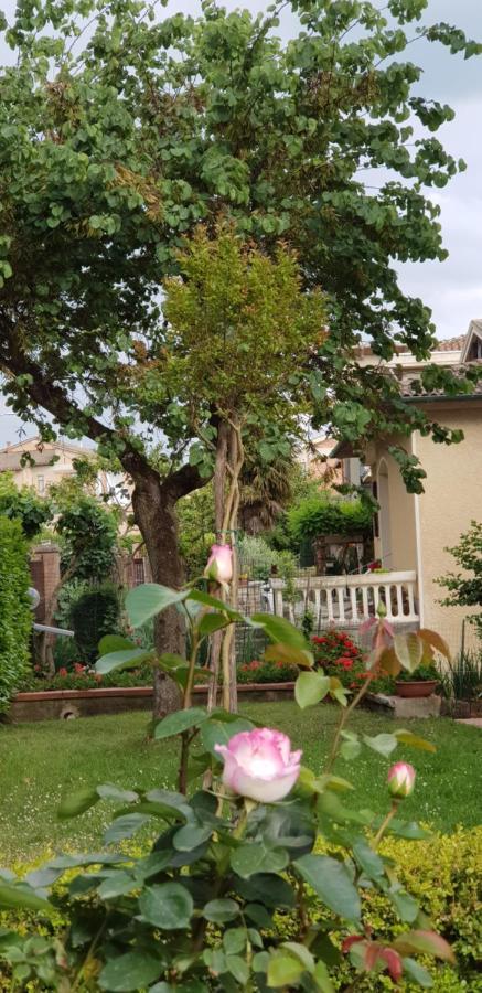 Villa La Casa Di Gigliola Monticiano Exterior foto