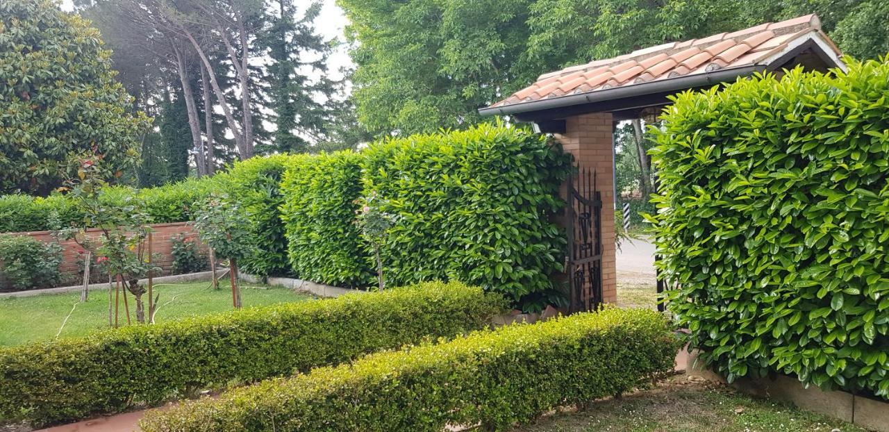 Villa La Casa Di Gigliola Monticiano Exterior foto